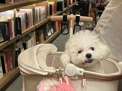 -茑屋书店(天目里店)