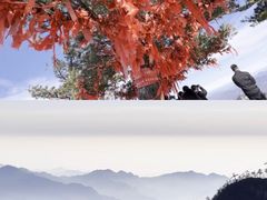 -尧山风景区