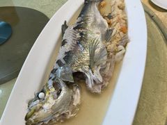 -小北江河鲜(新城店)