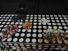 -兴芮温泉度假区