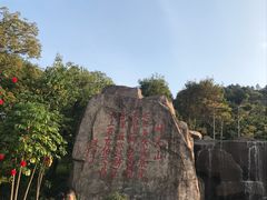 -神光山国家森林公园