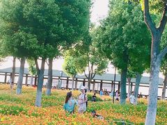 -仙岳公园