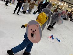 -冰纷万象滑冰场(沈阳万象城店)