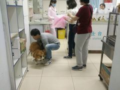 -北京观赏动物医院·24小时大型综合·猫专科·异宠专科