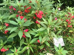 -广州神农草堂中医药博物馆