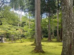 -三千院