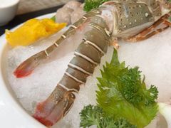 -榛悦隆堡成都酒店(春熙路太古里店)