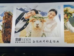 -太古映画婚纱摄影(天河店)