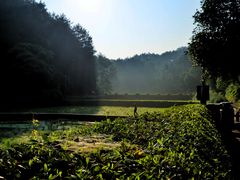 -韶山毛泽东同志故居