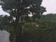 -延安杨家岭革命旧址