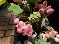 -淮扬府·游园京梦(北京SKP店)