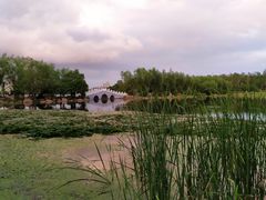 -长春市南湖公园