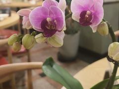 -佛有缘素食馆·荔湾老字号(陈家祠首店)