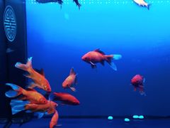 -知足堂养生会所(碑亭巷店)