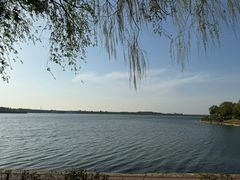 -丁香湖公园
