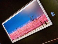 -罗红摄影艺术馆