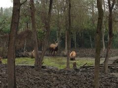 iphone_upload_pic-溱湖国家湿地公园