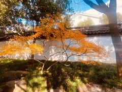 -秋霞圃