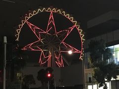 -墨尔本之星 观景摩天轮