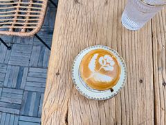 -樹下遇见树·咖啡