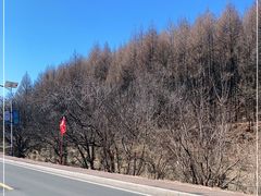 -帽儿山国家森林公园