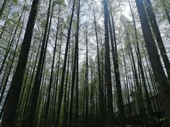 -南京金牛湖风景区