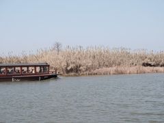 -宁波杭州湾国家湿地公园