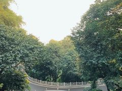 -广州市白云山风景名胜区