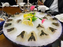 -晶莹品鲜.顺德鱼生.特色桑拿菜