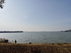 -漕湖湿地公园