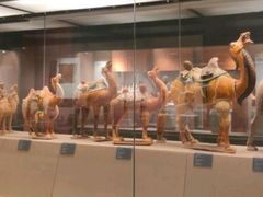 -西安大唐西市博物馆