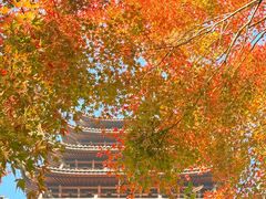 -常熟方塔园