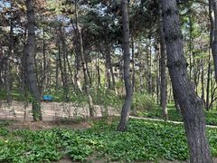 -长春市南湖公园