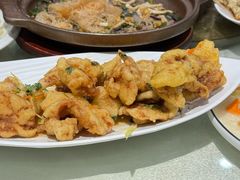 -邵年鸽(杨庄店)