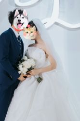 -CD视觉婚纱摄影