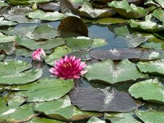 -春花秋色城市公园