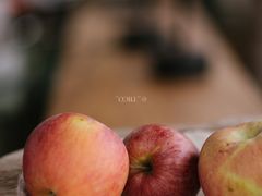 -悦哉·派对·草坪婚礼·围炉煮茶(三圣乡店)