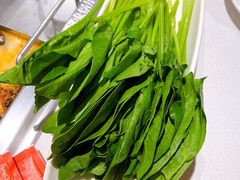 菠菜-海底捞火锅(长宁路龙之梦店)
