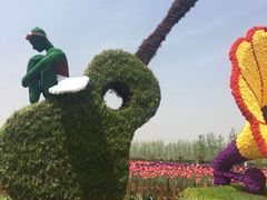 -荷兰花海