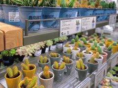-鹿岛生活(熙地港店)