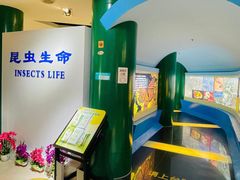 -上海昆虫博物馆