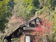 -凤栖山