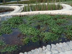 -活水公园