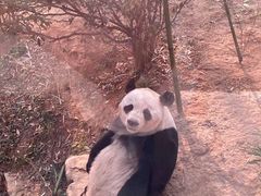 -济南野生动物世界