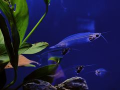 -上海海洋水族馆