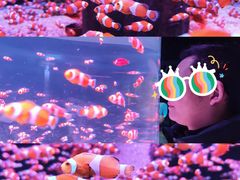 -海合安成都极地海洋公园