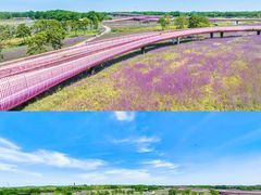 -江苏三台山国家森林公园
