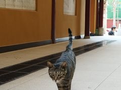 -宝通禅寺