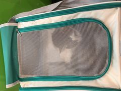 -爱侣·安琦尔宠物医院·中兽医针灸·心内科·狂犬免疫点(宝山区院)