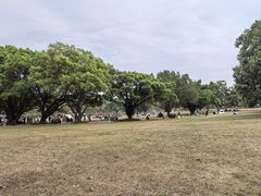 -东莞植物园
